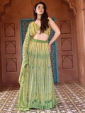 Anika Parrot Green Printed Pleated Lehenga Set with Draped Blouse
