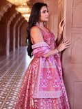 Blush Radiance Ethnic Printed Lehenga Set