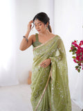 Galaxy Green Organza Saree with Silver Sequin Embroidery