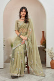 Elegant Pista Green Organza Saree with Embroidered Floral Border