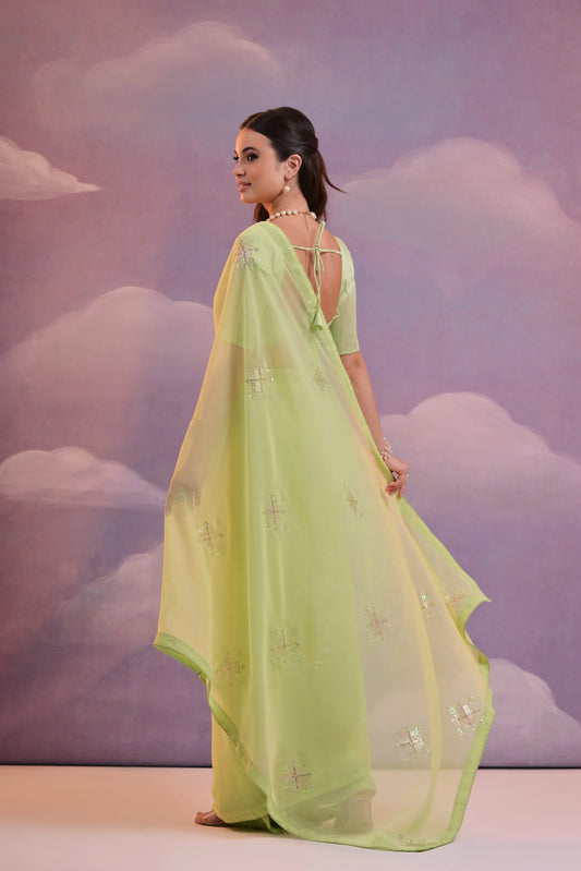 Woman in a light green saree with a cloud-patterned background Glanzavi