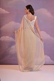 Ethereal Beige Sheer Saree with Pastel Sequin Embellished Border