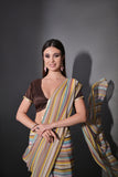 Multicolor Pastel Striped Saree with Subtle Gold Border Elegant Daily & Festive Wear
