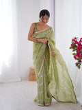 Galaxy Green Organza Saree with Silver Sequin Embroidery