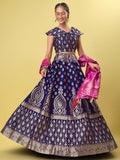 Navy Blue & Pink Banarasi Silk Lehenga Choli with Dupatta