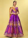 Purple & Yellow Banarasi Silk Lehenga Choli with Dupatta