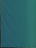 Teal Sapphire Pleated Lehenga Set