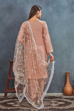 Dusty Rose Embroidered Salwar Suit with Net Dupatta